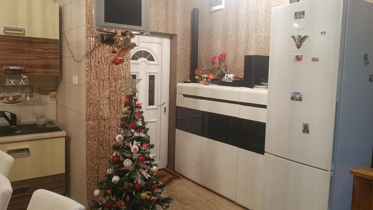Hotel Casa Cojanu à Petroşani Extérieur photo