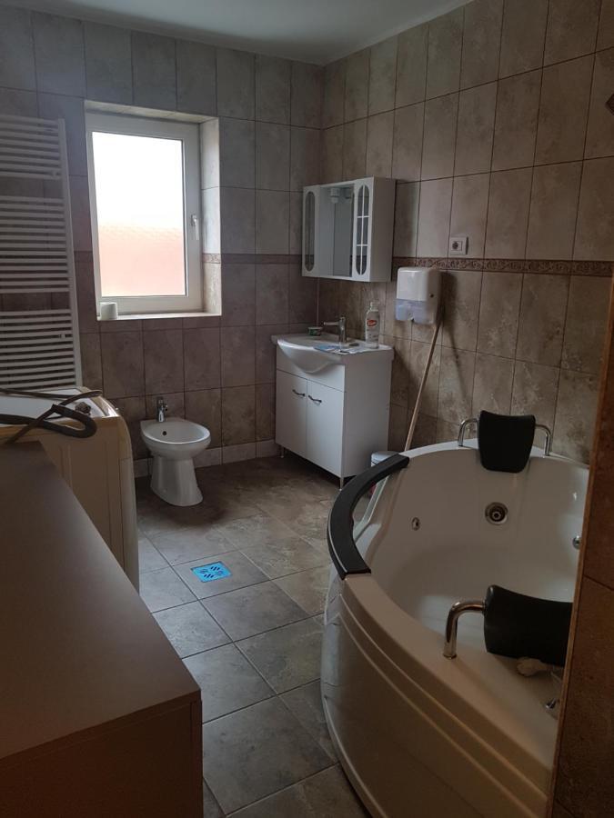 Hotel Casa Cojanu à Petroşani Extérieur photo