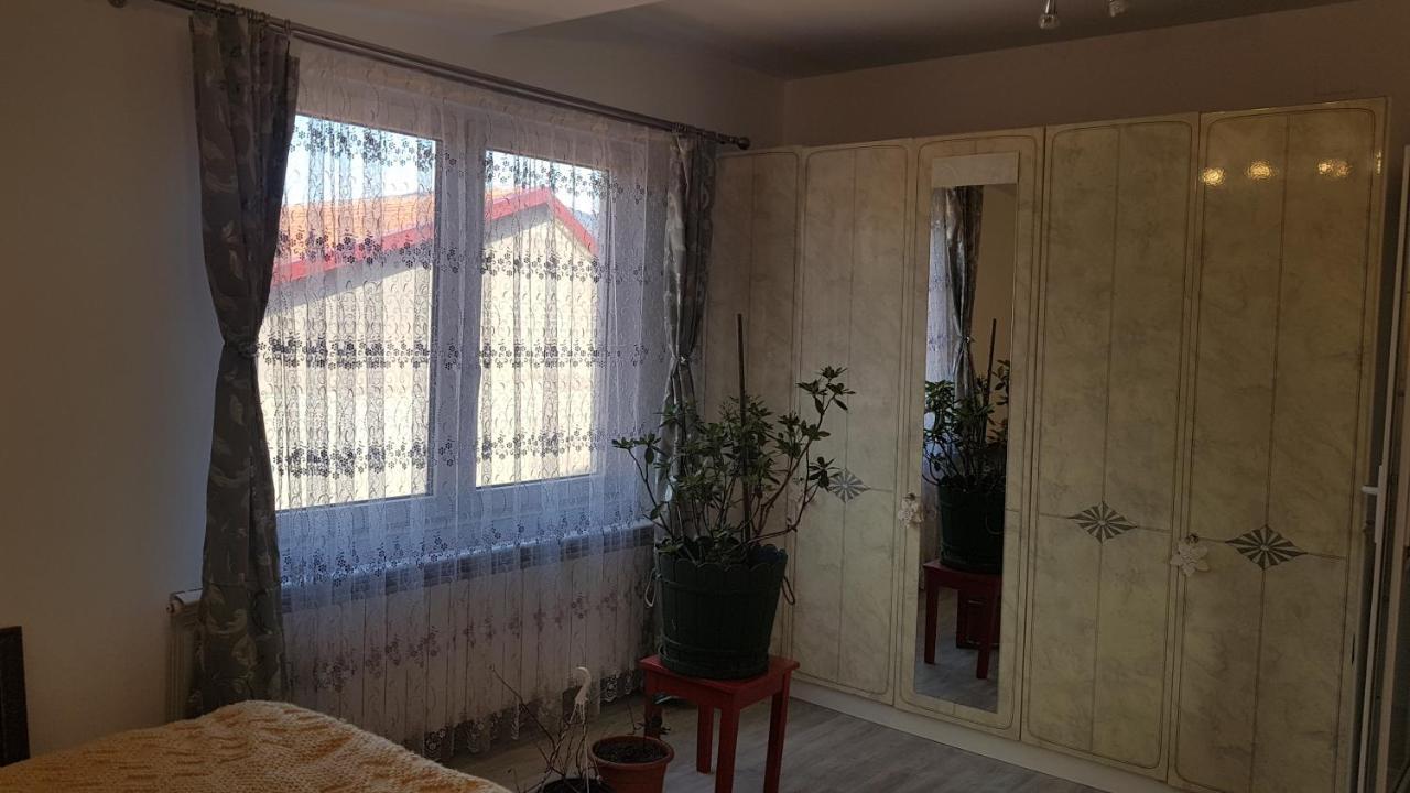 Hotel Casa Cojanu à Petroşani Extérieur photo