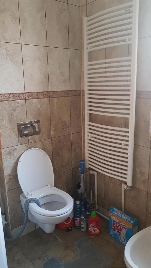 Hotel Casa Cojanu à Petroşani Extérieur photo